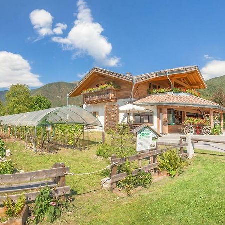 B&B Dalla Fattoria Della Patty Pieve Di Ledro Exterior photo